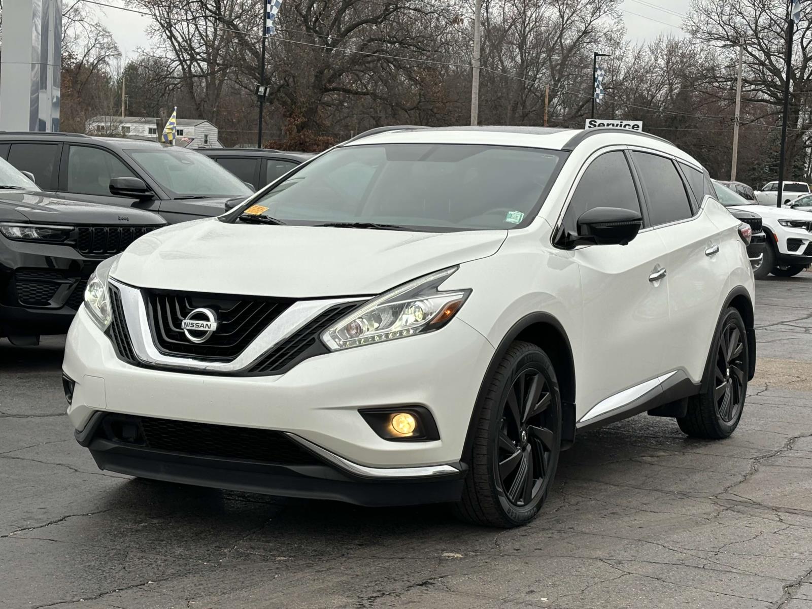 2017 Nissan Murano Platinum 30