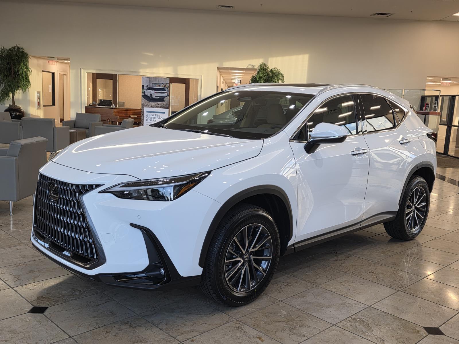 2026 Lexus NX 350 photo 6