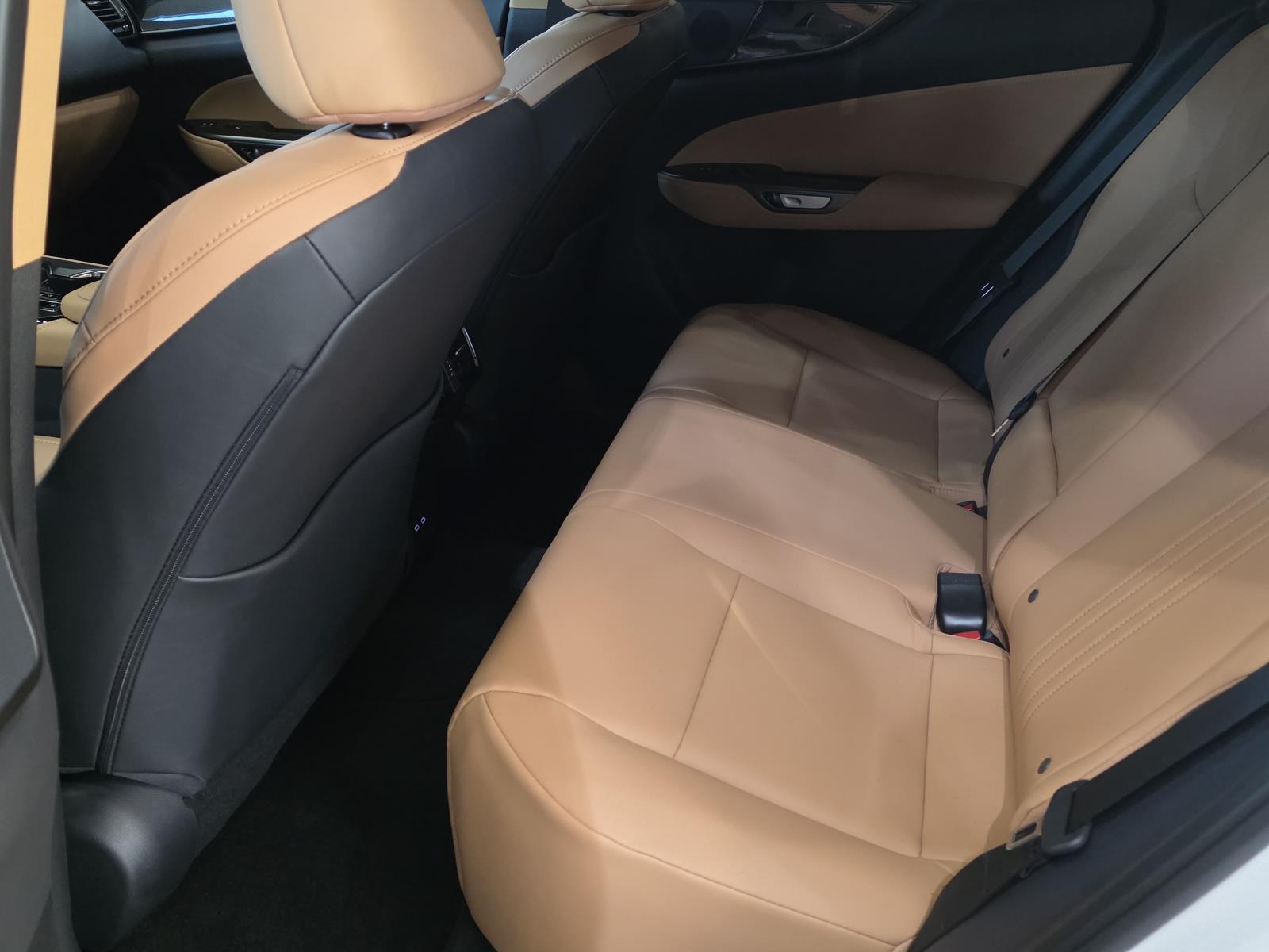 2026 Lexus NX 350 photo 10