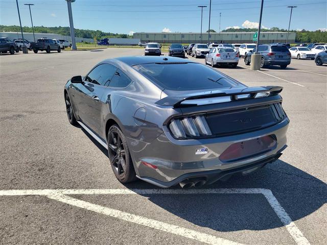2019 Ford Mustang