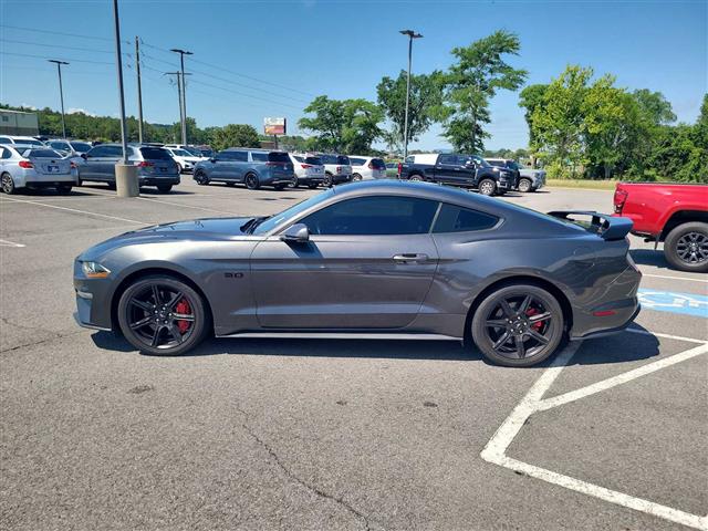 2019 Ford Mustang