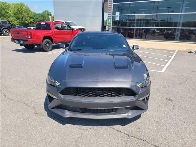 2019 Ford Mustang