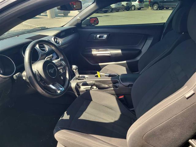 2019 Ford Mustang