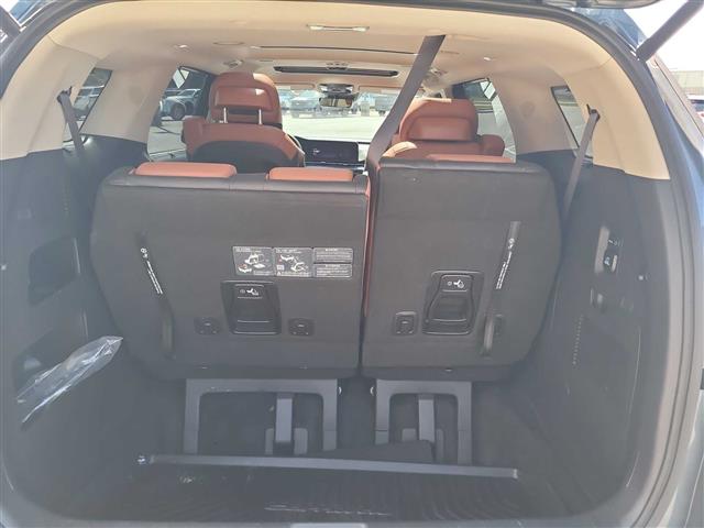 2024 Kia Carnival