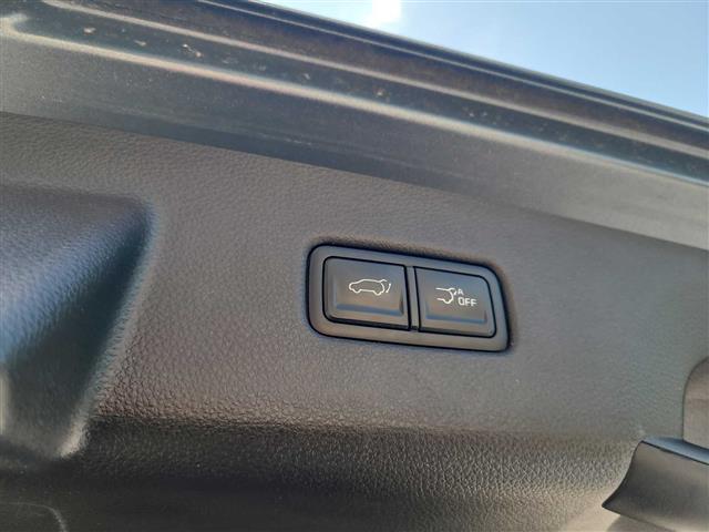 2024 Kia Carnival