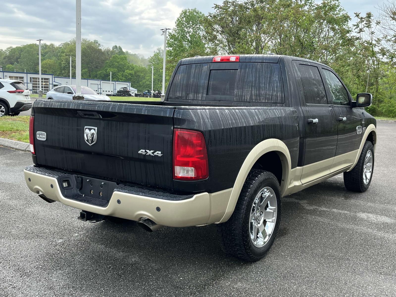 Ram