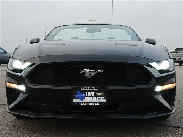 2019 Ford Mustang