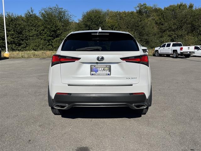 2019 Lexus NX