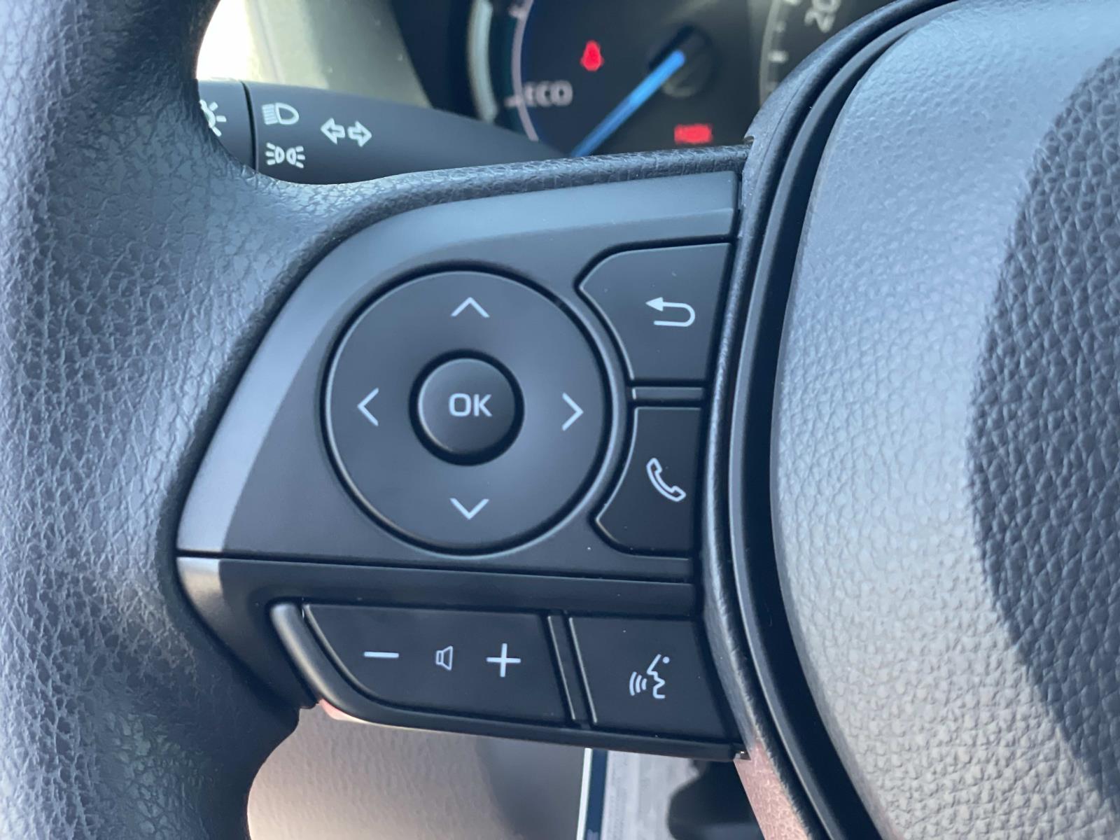 2025 Toyota RAV4 Hybrid LE photo 10